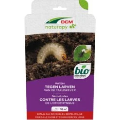 DCM Aaltjes Tegen Larven Van De Taxuskever (Kraussi-Guard®) - Bestelcode - 10 M² (5 Mio. Aaltjes)