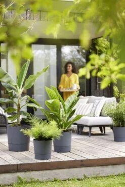 Elho Bloempot Greensense Aqua Care Rond 35cm Grijs -Tuin Meubel Verkoop elho bloempot greensense aqua care rond 35cm grijs 534x800 620e3d93204d8 l