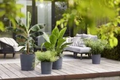 Elho Bloempot Greensense Aqua Care Rond 35cm Grijs -Tuin Meubel Verkoop elho bloempot greensense aqua care rond 35cm grijs 800x534 620e3d93780ac l