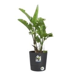 Elho Bloempot Greensense Aqua Care Rond 35cm Grijs -Tuin Meubel Verkoop elho bloempot greensense aqua care rond 35cm grijs 800x800 620e3d9228235 l