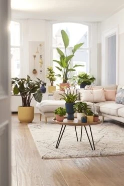 Elho Bloempot Vibes Fold Rond Wielen 35cm Blauw -Tuin Meubel Verkoop elho bloempot vibes fold rond wielen 35cm blauw 534x800 620e3d6d3c145 l