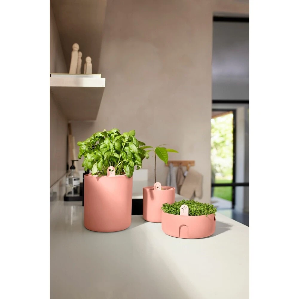 Elho Bouncy Basil Bruin 8 Elho Bouncy Basil Bruin - Afbeelding 8