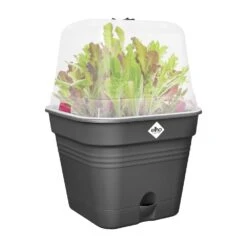 Elho Green Basics Kweekpot Vierk. Allin1 30 Cm Zwart 11 Elho Green Basics Kweekpot Vierk. Allin1 30 Cm Zwart -Tuin Meubel Verkoop elho green basics kweekpot vierk allin1 30 cm zwart 1000x1000 64aebae598bcd l