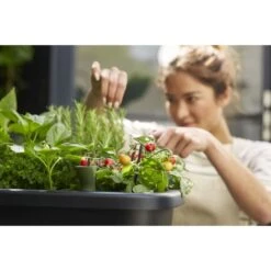 Elho Noa Kweektafel Zwart -Tuin Meubel Verkoop elho noa kweektafel zwart 1000x1000 64aebaca7b56b l