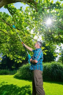 GARDENA Accu Telescopische Snoeizaag TCS 20/18 P4A Solo -Tuin Meubel Verkoop gardena accu telescopische snoeizaag tcs 20 18 p4a solo 1000x1500 640af3255d2cf l