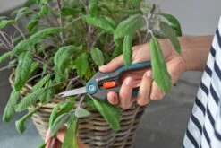 GARDENA FreshCut 7 GARDENA FreshCut -Tuin Meubel Verkoop gardena freshcut 1500x1000 640af81397952 l