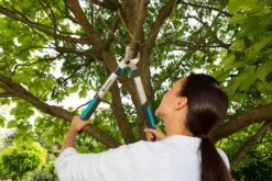 GARDENA Takkenschaar EasyCut 500 B -Tuin Meubel Verkoop gardena takkenschaar easycut 500 b 1500x1000 640af7e5d4f80 l