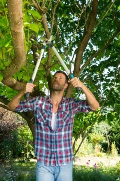 GARDENA Takkenzaag EasyCut 680 B (12003 + 8754 E12) -Tuin Meubel Verkoop gardena takkenschaar easycut 680 b 8754 1000x1500 640af7ec497bd l