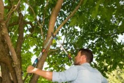 GARDENA Takkenschaar TeleCut Long 650-900 B -Tuin Meubel Verkoop gardena telecut long 650 900b 1500x1001 640af7f15744f l