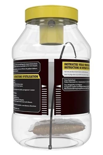 KB Wespenval Met Lokstof 1 Stuk 2 KB Wespenval Met Lokstof 1 Stuk - Afbeelding 2