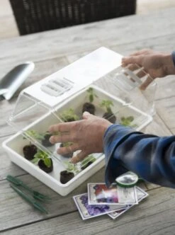 Nature Deksel Voor Kweekbak 55x31cm -Tuin Meubel Verkoop nature deksel voor kweekbak 55x31cm 595x800 6214a0230c942 l