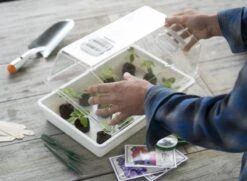 Nature Deksel Voor Kweekbak 55x31cm -Tuin Meubel Verkoop nature deksel voor kweekbak 55x31cm 800x587 6214a0233f631 l