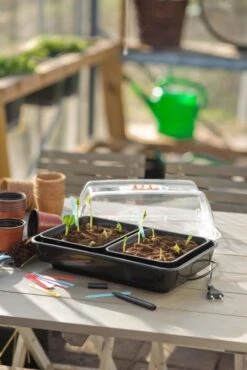 Nature Kweekkas Verwarmd 38x24cm -Tuin Meubel Verkoop nature kweekkas verwarmd 38x24cm 534x800 6214a026e40ab l