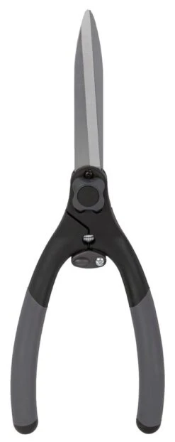 Talen Tools Buxusschaar Met Veer